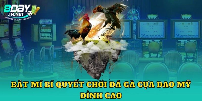 Bật mí bí quyết chơi đá gà cựa dao Mỹ đỉnh cao