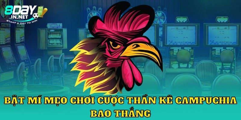 Bật mí mẹo chơi cược thần kê Campuchia bao thắng