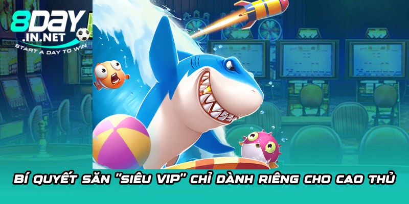 Bí quyết săn "siêu VIP" chỉ dành riêng cho cao thủ