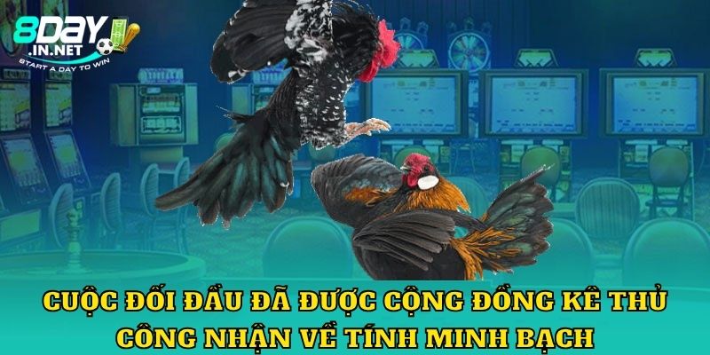 Cuộc đối đầu đã được cộng đồng kê thủ công nhận về tính minh bạch