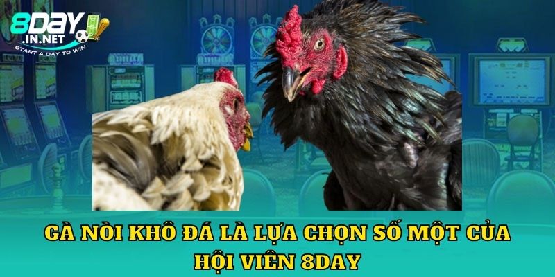 Gà nòi khô đá là lựa chọn số một của hội viên 8Day