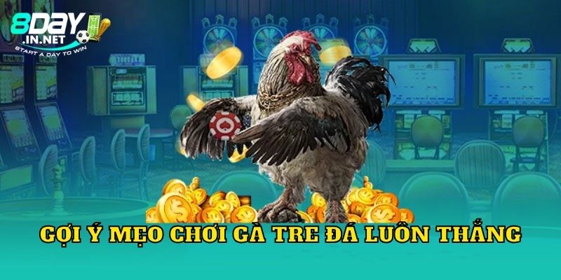 Gợi ý mẹo chơi gà tre đá luôn thắng