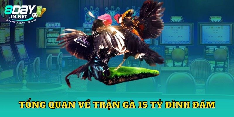 Tổng quan về trận gà 15 tỷ đình đám