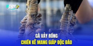 gà vảy rồng