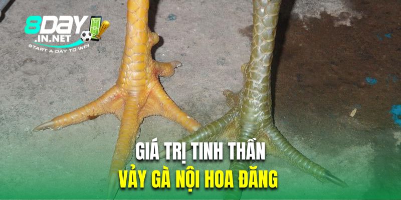 Giá trị tinh thần của vảy gà nội hoa đăng