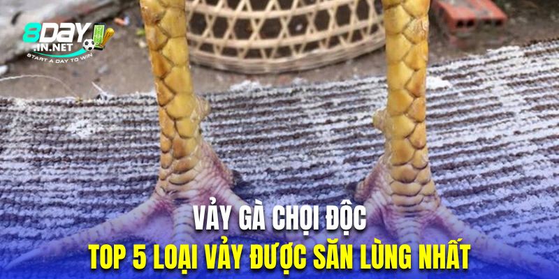 Vảy linh giáp tử thể hiện lối đá dồn dập của chiến kê khi về cuối trận