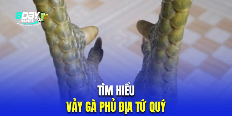 Vảy gà phủ địa tứ qúy là dạng giáp quý hiếm nhất