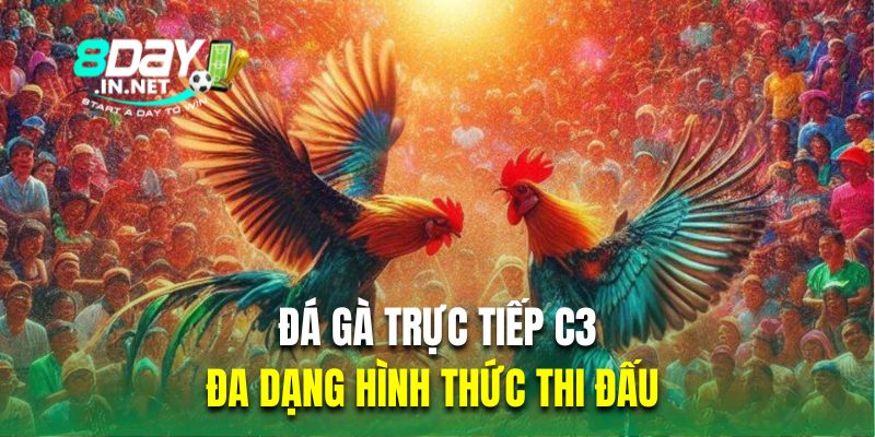 Đa dạng hình thức thi đấu là ưu điểm của đá gà trực tiếp C3 tại 8DAY