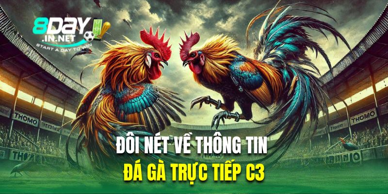 Đôi nét về thông tin của giải chọi kê trực tiếp C3