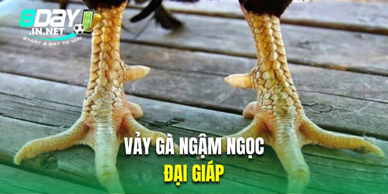 Vảy gà ngậm ngọc đại giáp